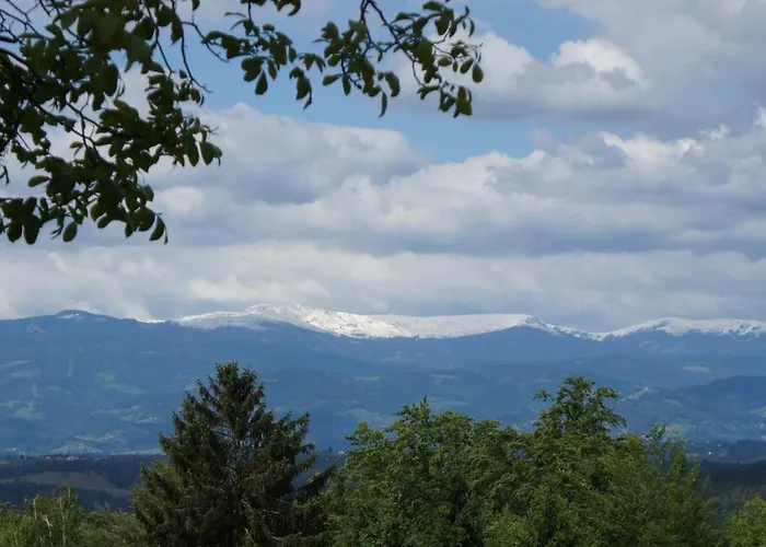 Landloft In The Sausal Wine Region *