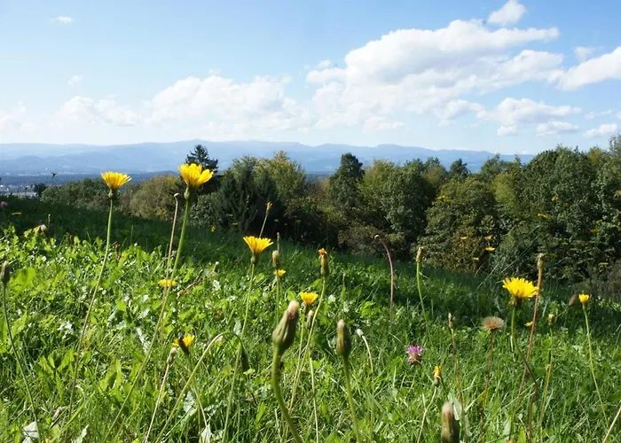 Landloft In The Sausal Wine Region شاليه *